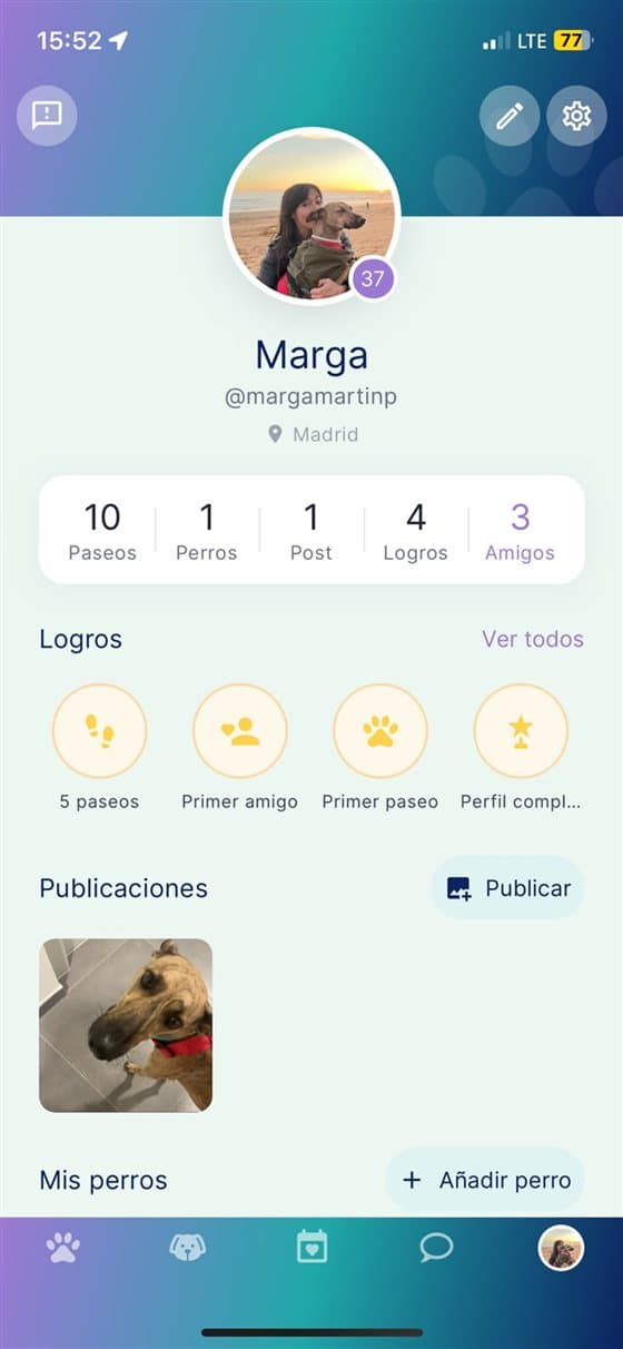 Tu perfil, logros e insignias